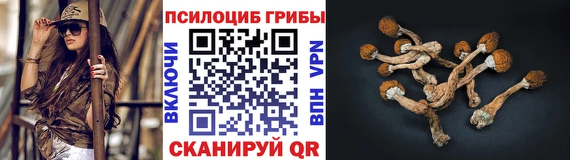 Псилоцибиновые грибы MAGIC MUSHROOMS  Отрадная 